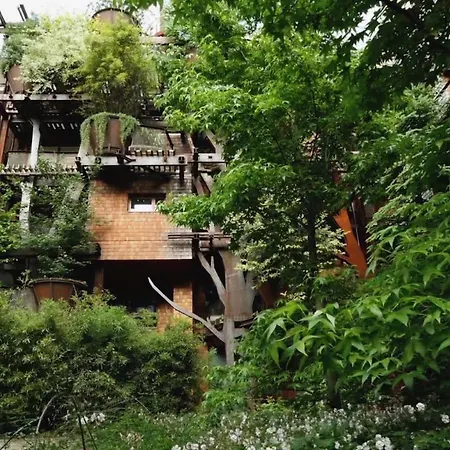 25 Verde Treehouse Appartamento