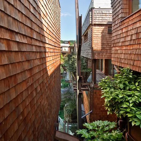 Apartment 25 Verde Treehouse